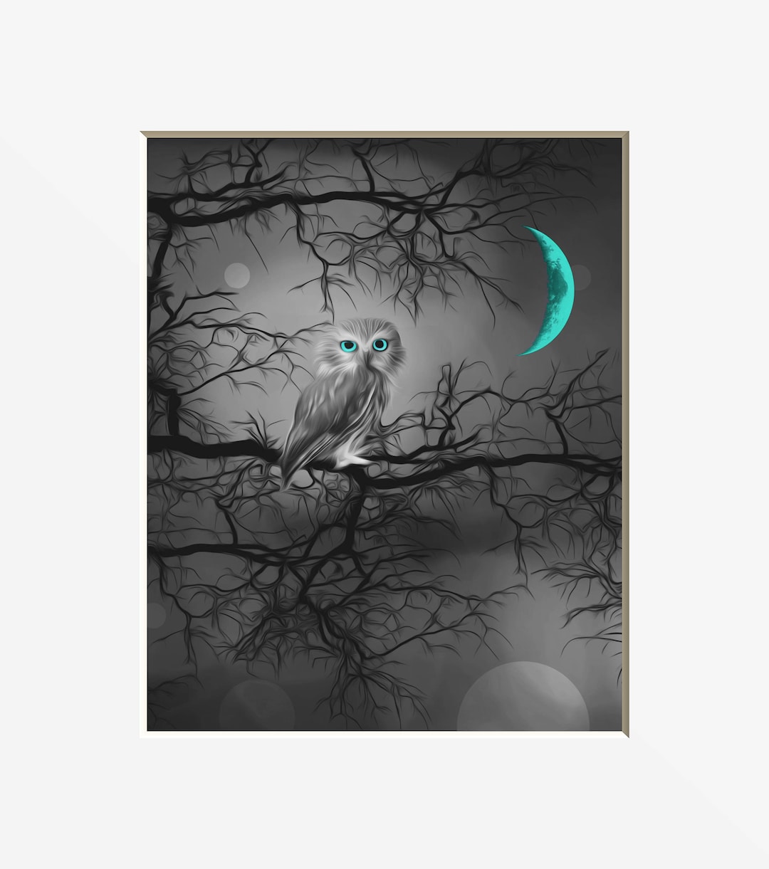 Teal Wall Art, Teal Wall Pictures, Teal Wall Prints, Owl Wall Art, Teal