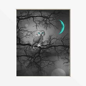 Teal Owl Art Print: Matted Wall Decor