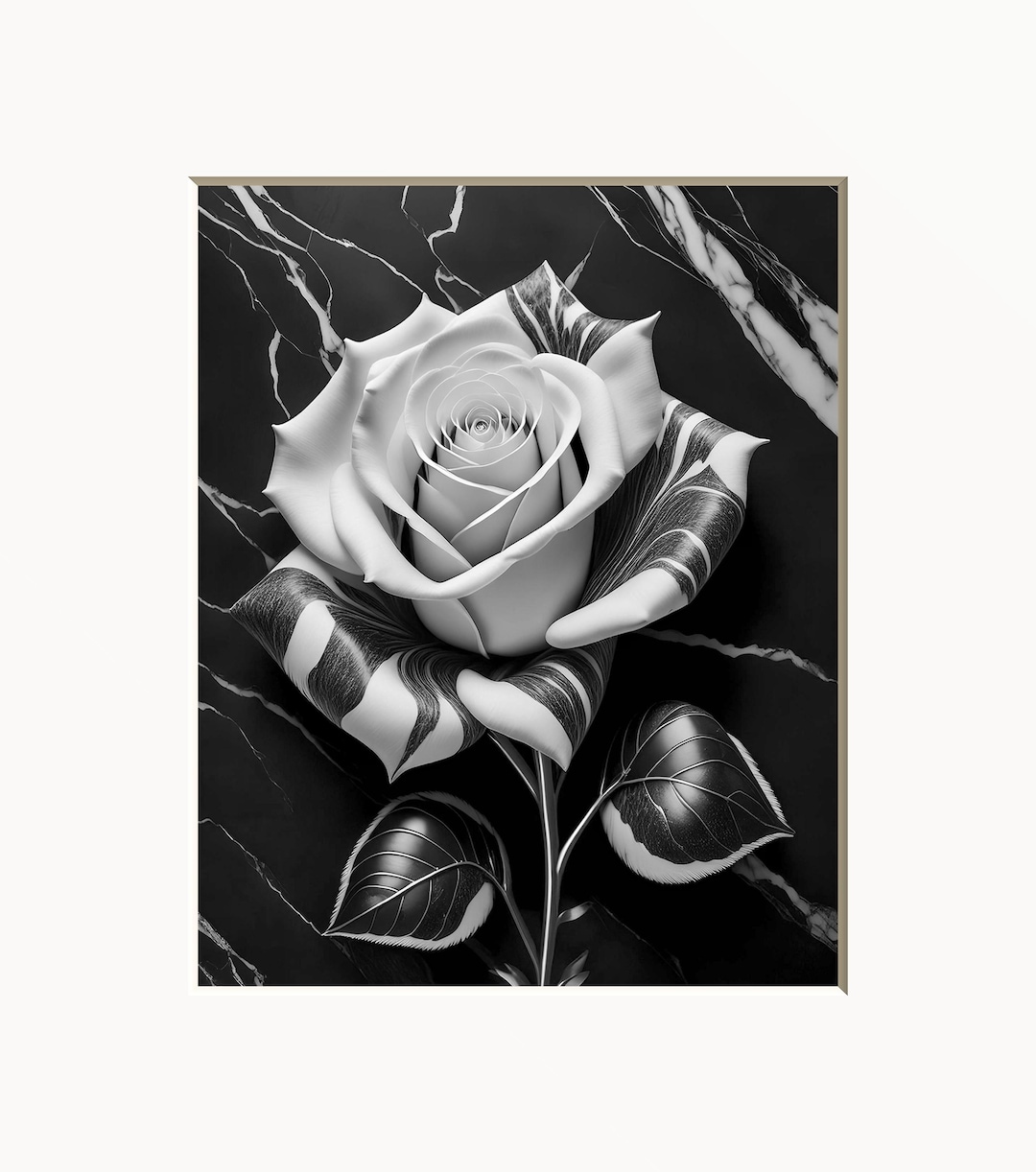 Black and White Rose Art Print: Modern Matted Wall Decor - Etsy