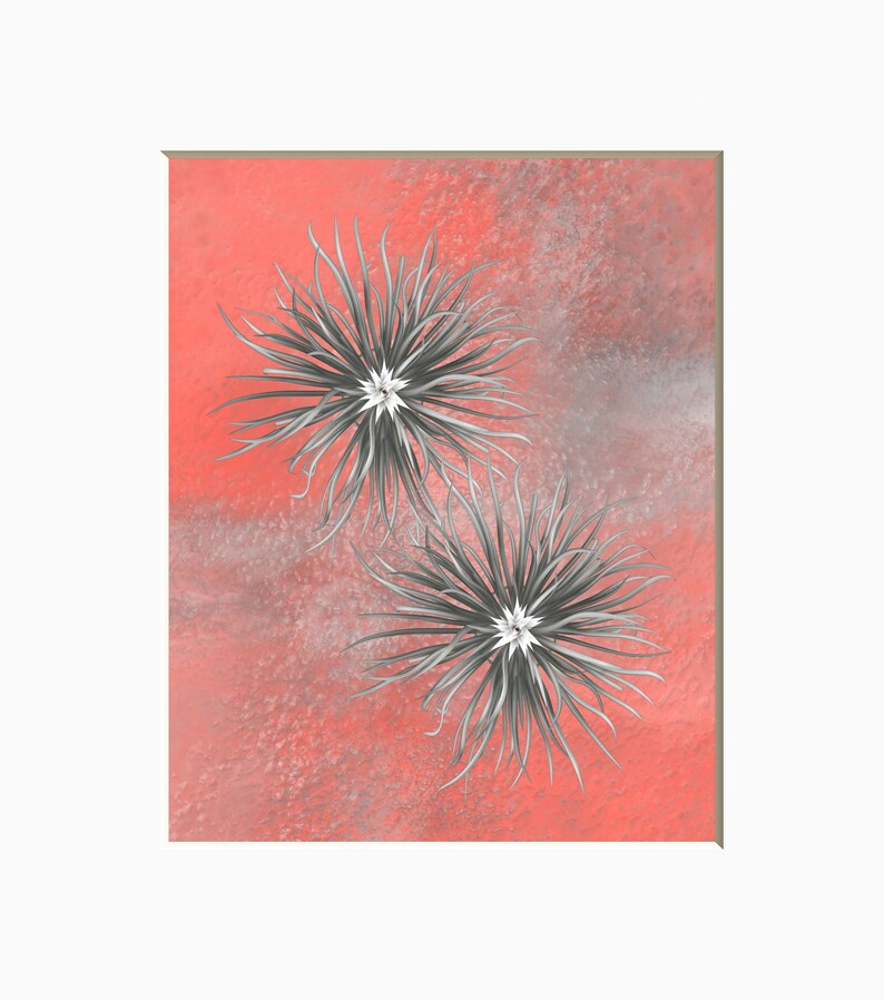 Coral Gray Modern Floral Wall Art Home Decor Bedroom Bathroom Etsy