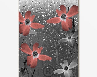 Coral Gray Bathroom Decor, Coral Flowers Raindrops, Powder Room Coral Home Decor Matted Picture