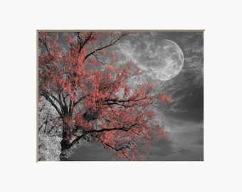 Black White Coral Tree Moon Photography Bedroom Living Room Bathroom Home Decor Matted Artwork Picture