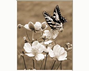Brown Beige Home Decor Butterfly on Flowers Neutral Wall Art Matted Picture