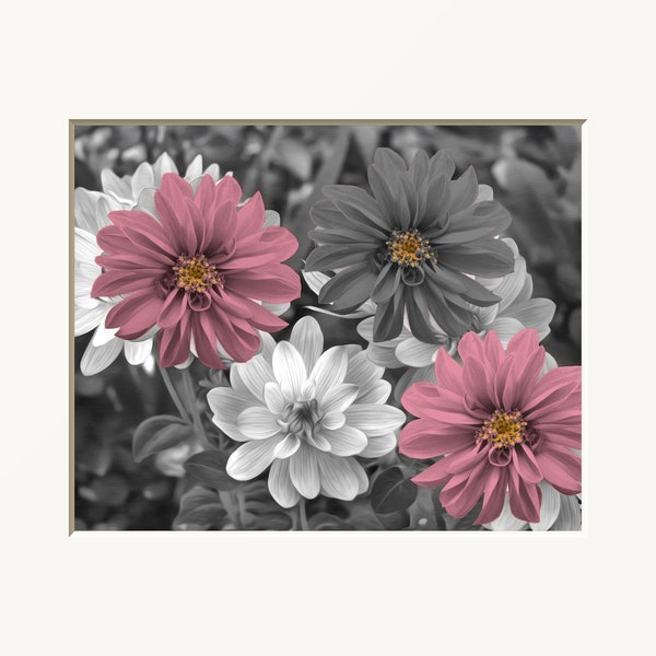 Pink Gray Dahlia Flowers Home Decor Photography Matted Bedroom Bathroom Wall Art Picture