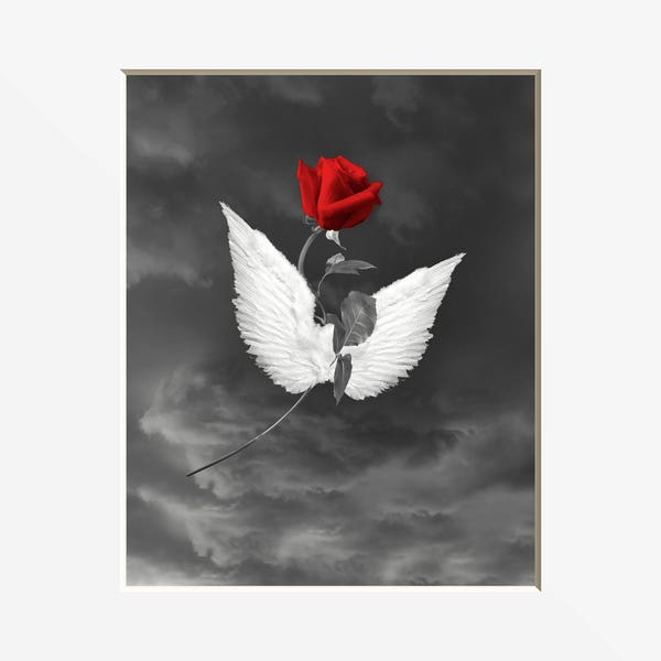 Black White Red Rose Flower Angel Wings Home Decor Bedroom Bathroom Home Decor Matted Artwork Pictures