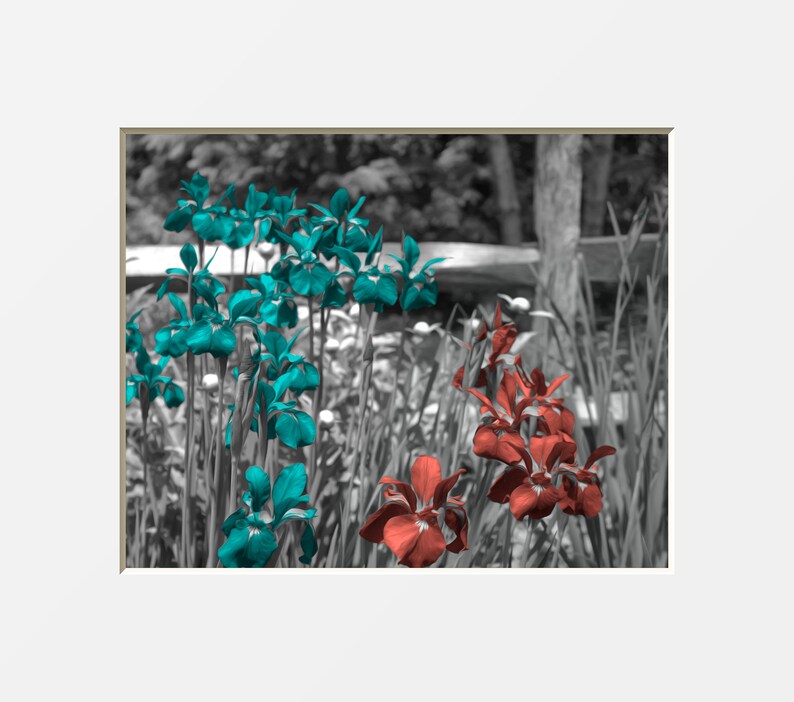 Coral Teal Home Decor Wall Art Teal Coral Flowers Bathroom Bedroom Living Room Modern Wall Art Picture