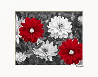 Black White Red Flowers Decor, Red Bathroom Bedroom Picture, Red Gray Modern Home Decor, Red Pop Of Color Wall Art