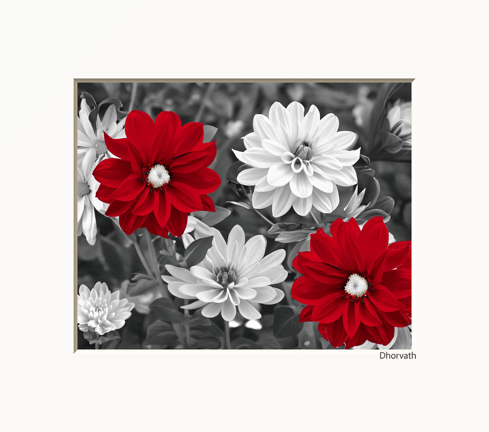 Red Flower Pop Art Print: Black, White \u0026 Red Floral Matted Picture - Etsy, image size:1571x1389