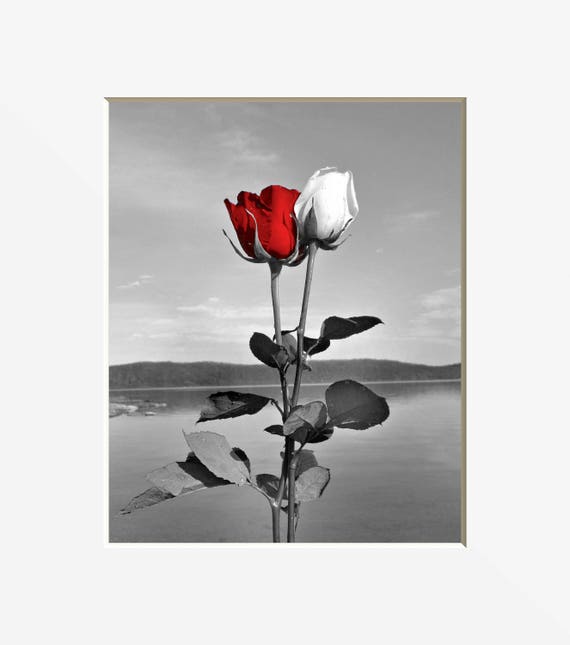 Black White Red Decor, Red Gray Rose Flower Decor, Lake, Red Pop Of Color, Red Bathrom Bedroom Wall Art Matted Picture