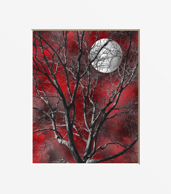 11x14 Blue Home Decor Photo Art Picture Coastal Ocean Moon Modern Blue Gray Bathroom Bedroom Wall Art Matted 5x7 8x10