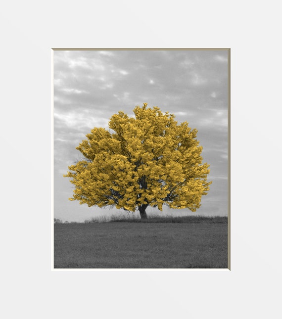 Black White Yellow Wall Art Pictures Tree Art Tree Etsy