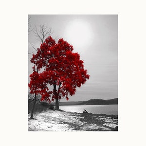 Black White Red Wall Art, Red Tree Lake Landscape, Bedroom, Living Room Home Decor Matted Photography Artwork Picture