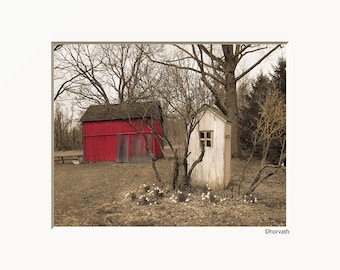 Red Brown Home Decor Wall Art, Red Wall Art, Red Prints, Red Barn Outhouse, Photography, Matted Wall Art  (Options)