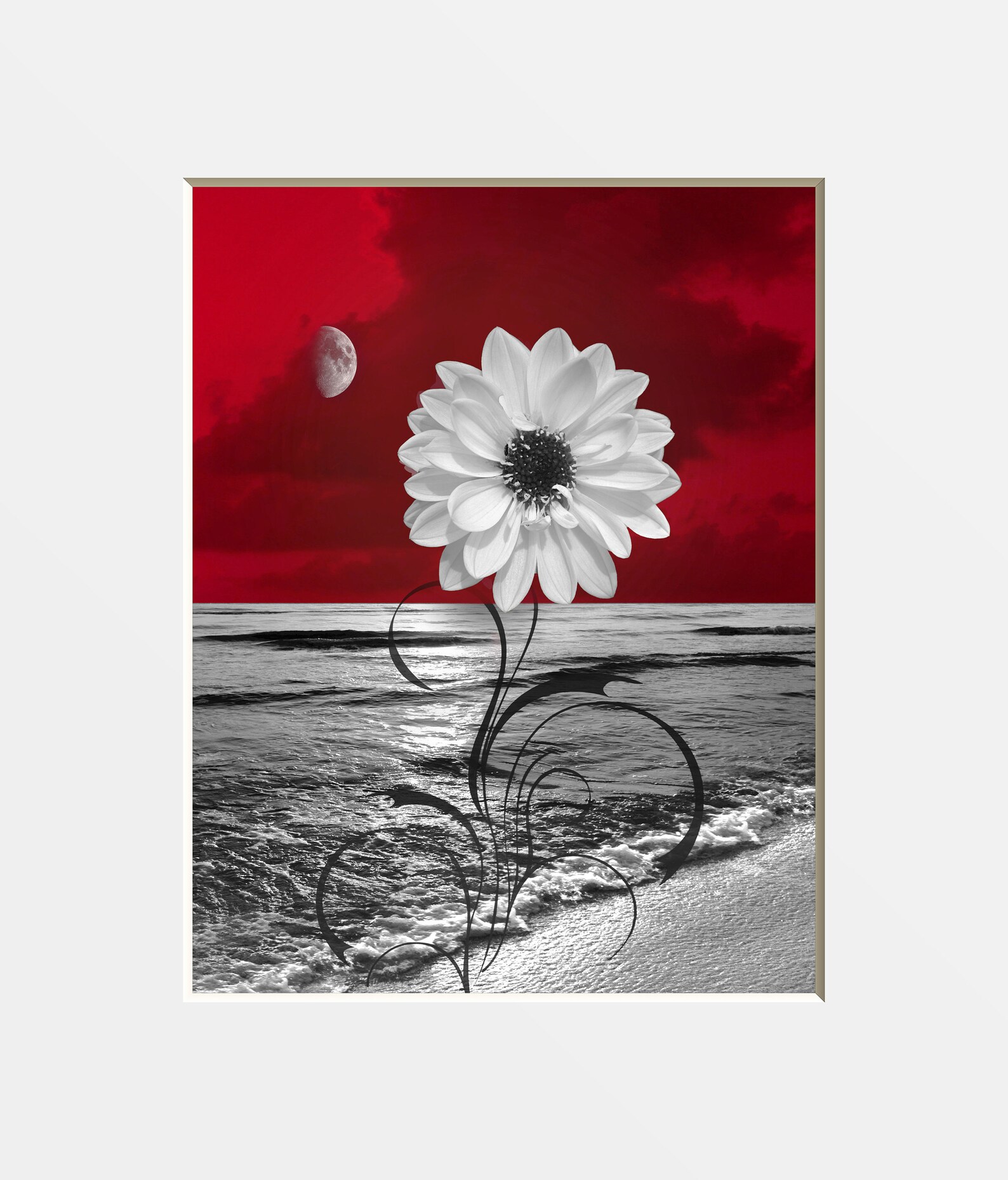 Black White Red Wall Art Red Home Decor Daisy Flowers Etsy