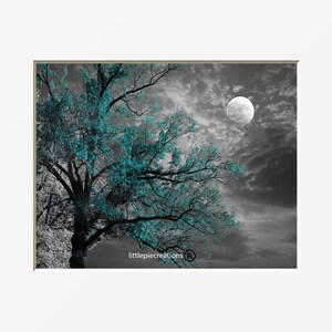 Black White Teal Wall Decor, Teal Flower Decor, Teal Gray Home Decor Wall Art Picture teal tree moon