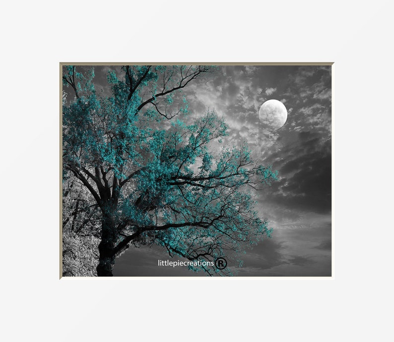 Black White Teal Wall Decor, Teal Flower Decor, Teal Gray Home Decor Wall Art Picture teal tree moon