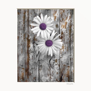 Purple Daisy Print: Rustic Wood Wall Art (Matted)
