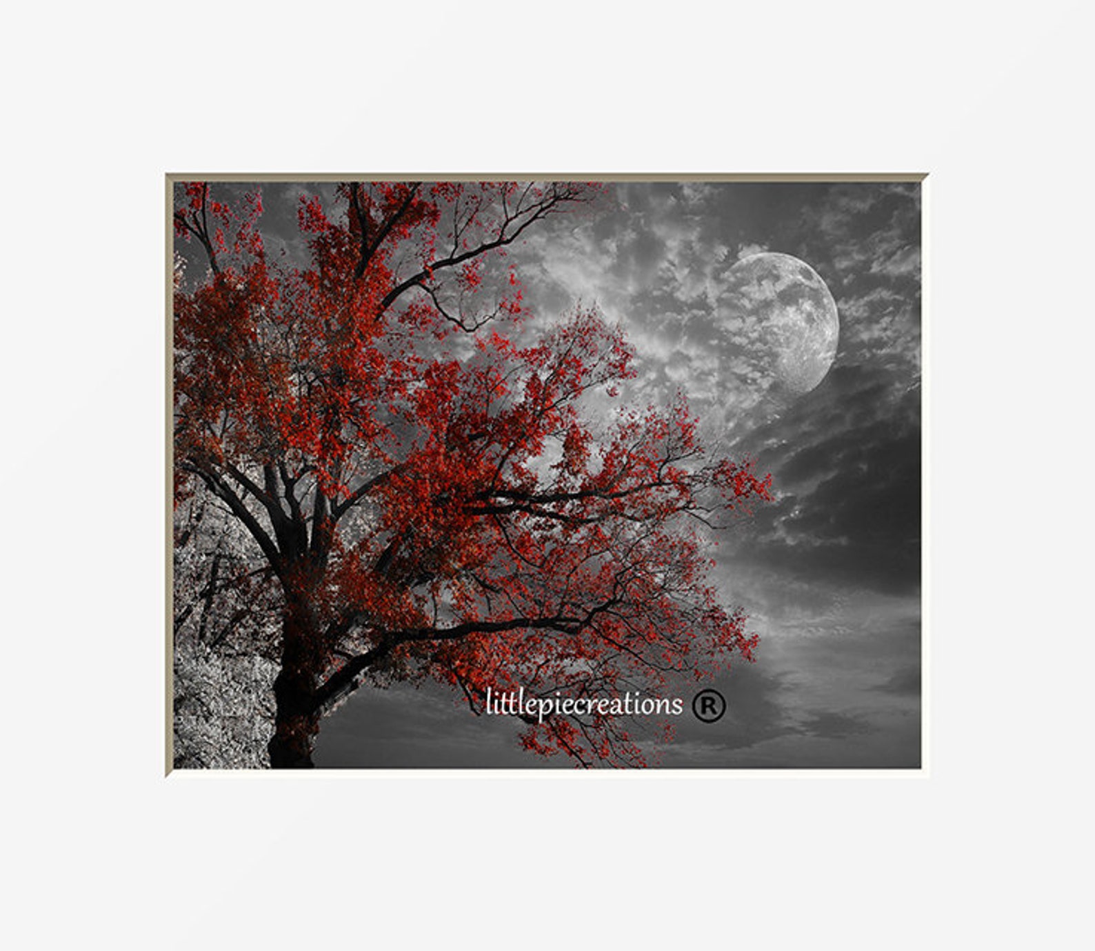 Black White Red Tree Wall Decor Pop of Red Forest Path Etsy