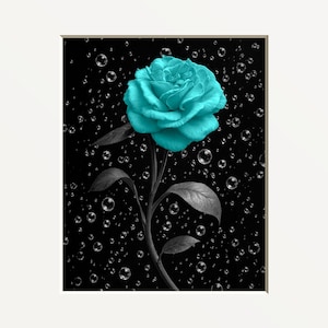 Black White Teal Rose Flower Bubbles Matted Wall Art Print