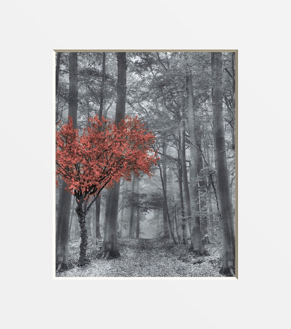 Black White Coral Wall Art Tree Art Pop Of Coral Living Room Bedroom Coral Gray Pop Of Color Wall Art Picture