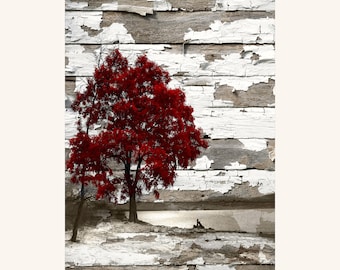 maroon red leaves pictures living room nature decor Mint and red gallery wall Maple tree branch art photography set 3 11x14 photo prints