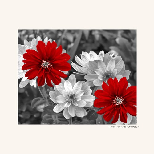 Black White Red Flowers Decor Bathroom Bedroom Picture - Red And Black Bathroom Wall Art Black White Red Flowers Decor Bathroom Bedroom Picture - Red And Black Bathroom Wall Art