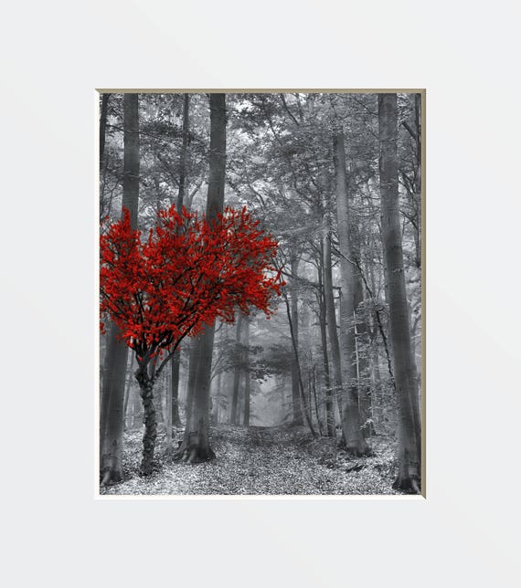 Black White Red Wall Pictures Tree Forest Decor Gray