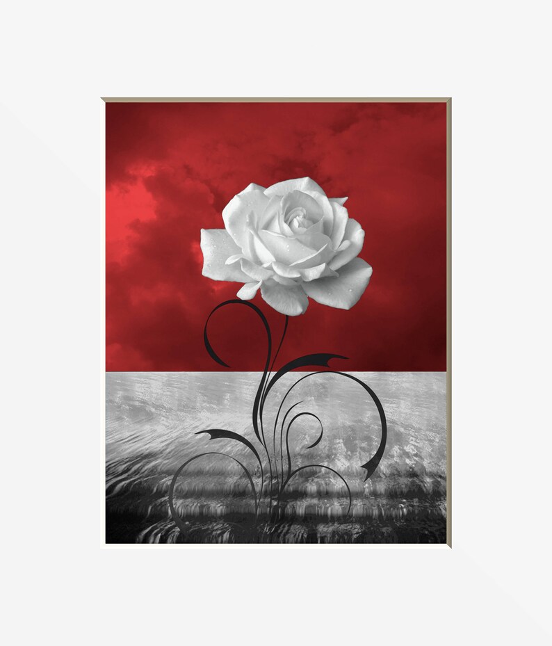 Black White Red Wall Pictures Red Gray Rose Flower Bathroom Bedroom Red Pop Of Color Red Home Decor Matted Picture