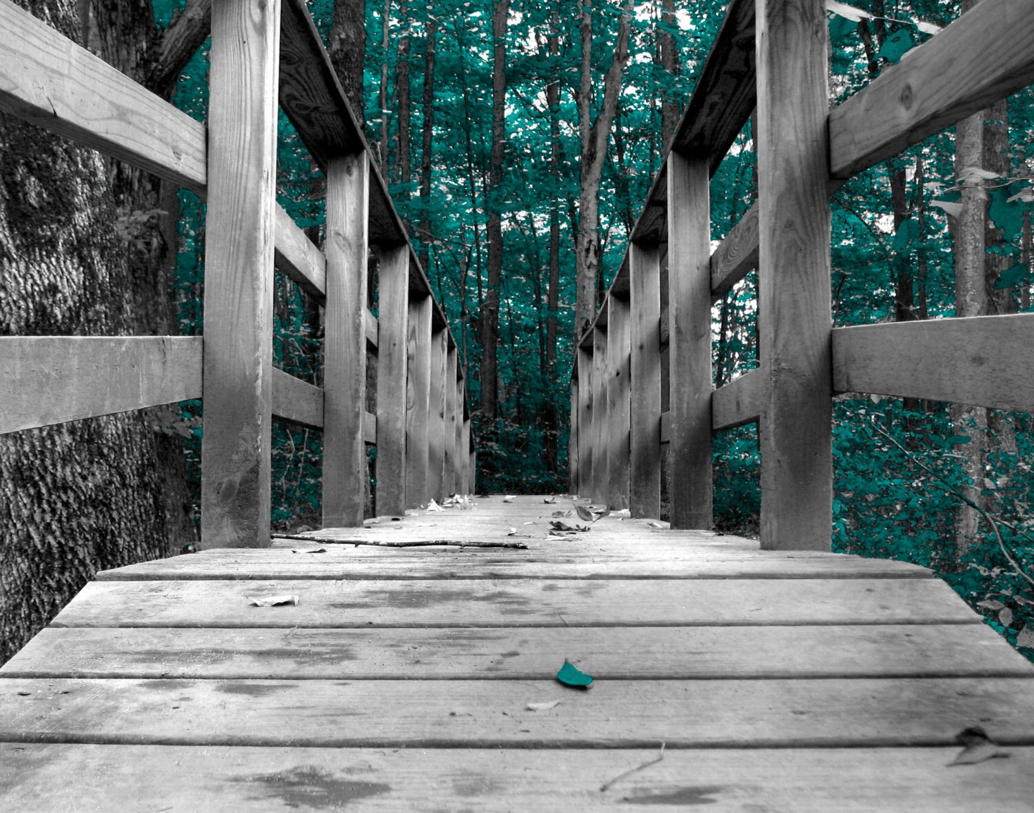 Teal Gray Forest Trees Wooden Bridge Home Decor Wall Art