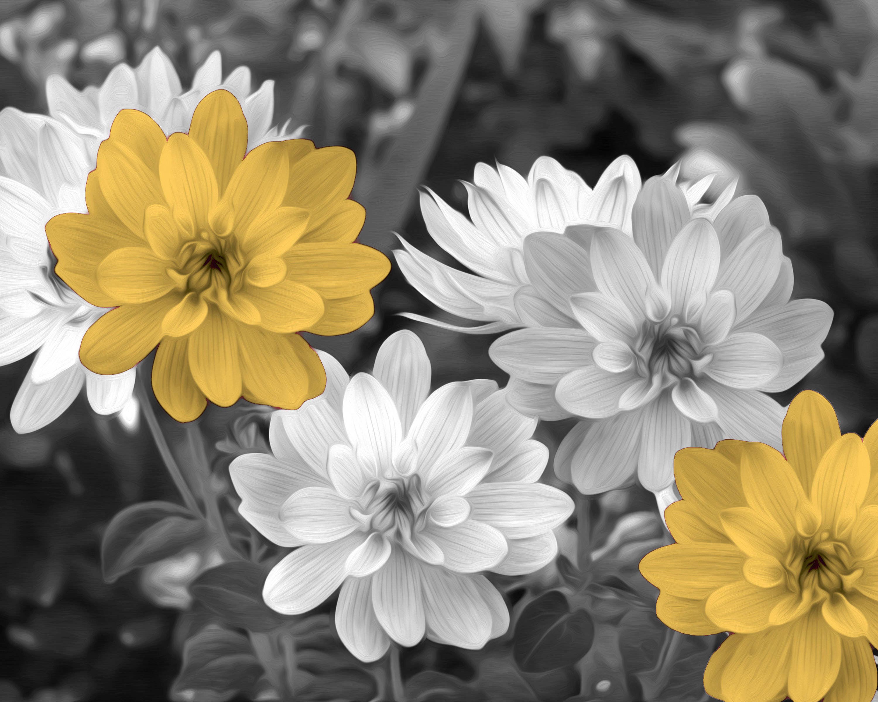 Yellow Gray Flowers Yellow Flower Prints Yellow Gray Modern Etsy