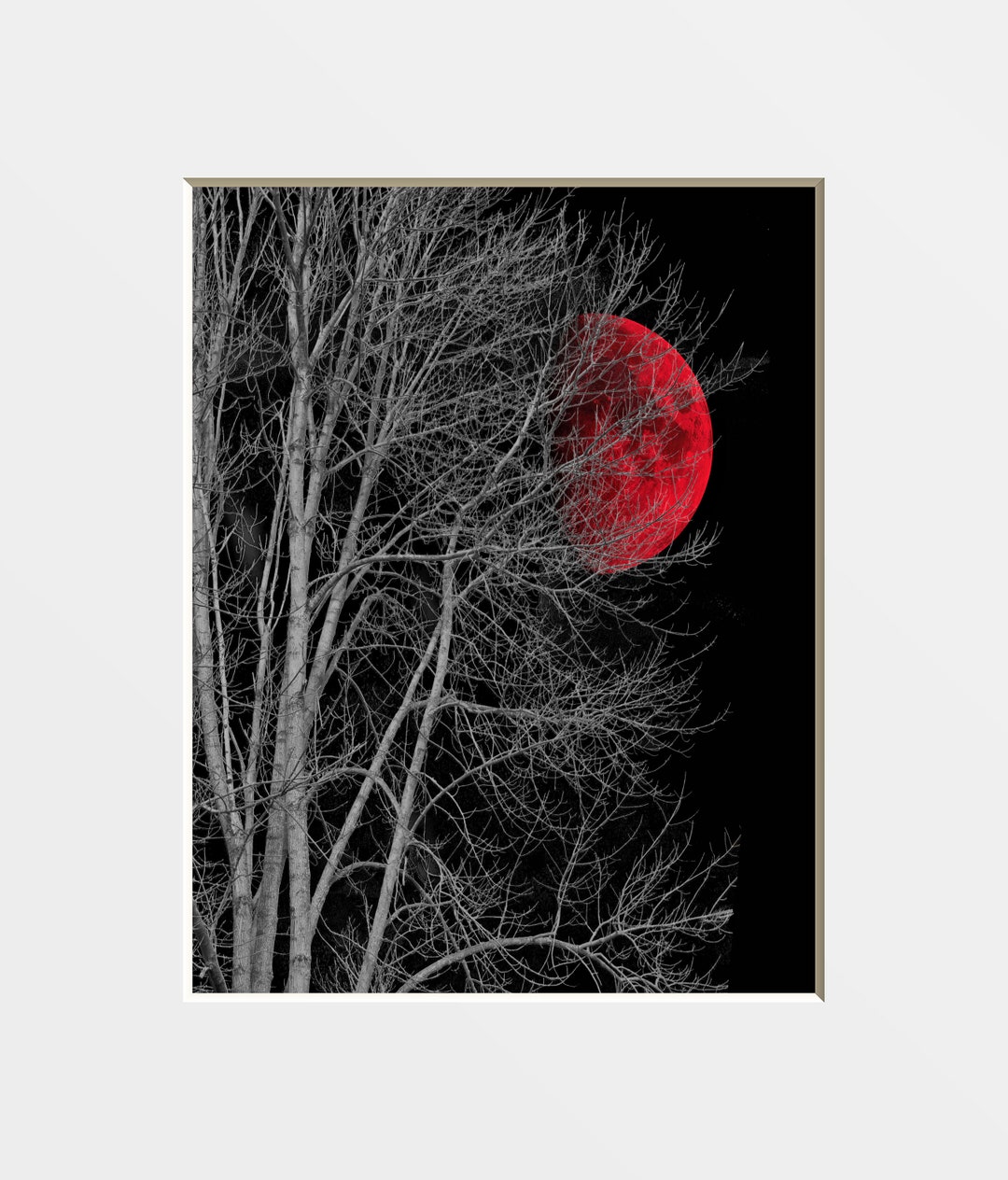Black White Red Wall Art, Red Moon Tree Photography Matted Wall Decor