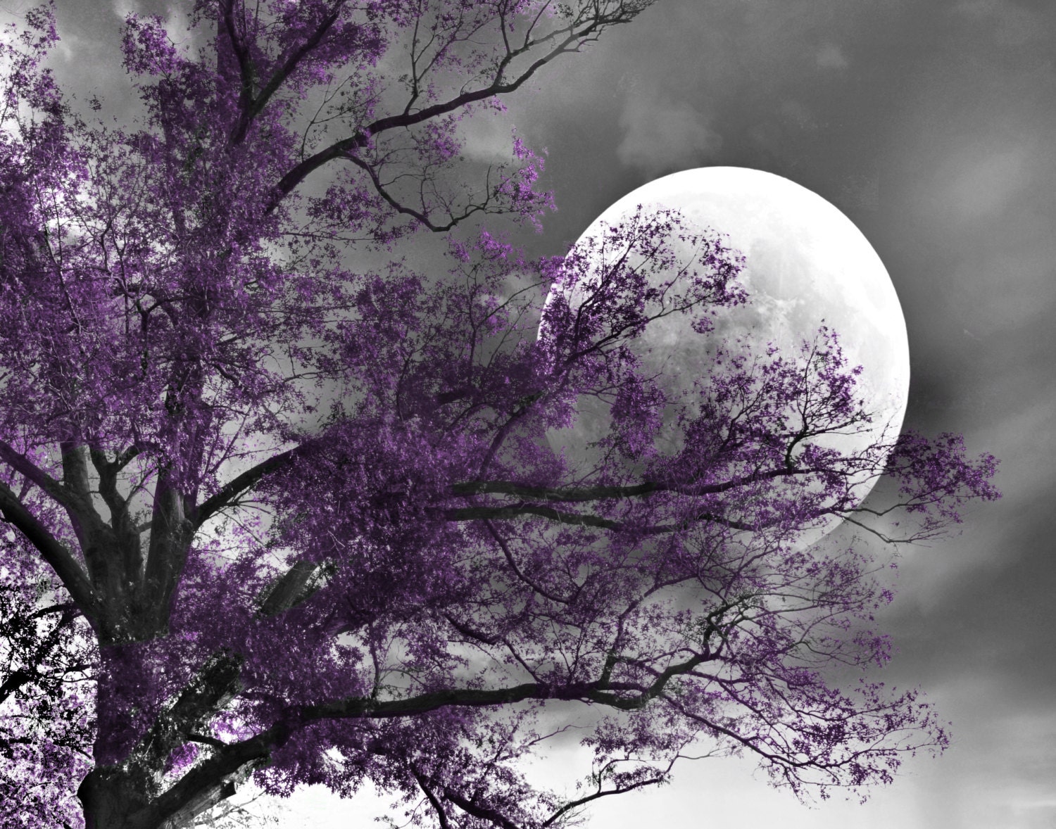 Black white purple print tree moon contemporay purple gray etsy