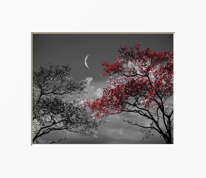 Black White Red Bedroom Living Room Wall Art Tree Moon Tree Moon