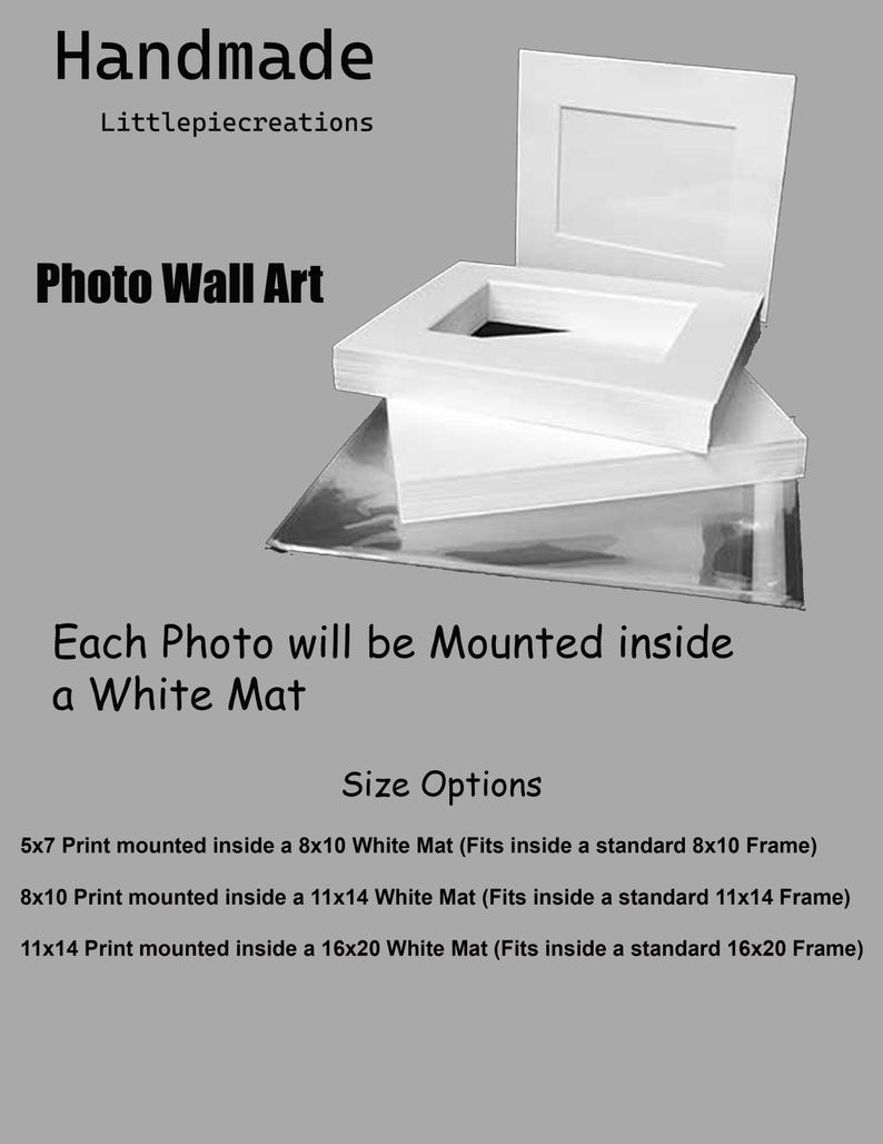 Teal Wall Art, Teal Wall Pictures, Teal Wall Prints, Owl Wall Art, Teal