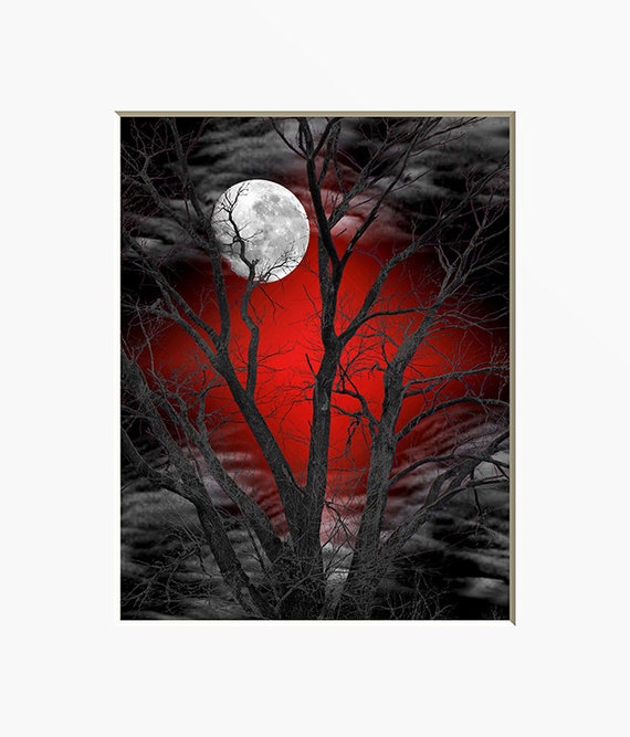 Black White Red Tree Wall Decor Pop Of Forest Path