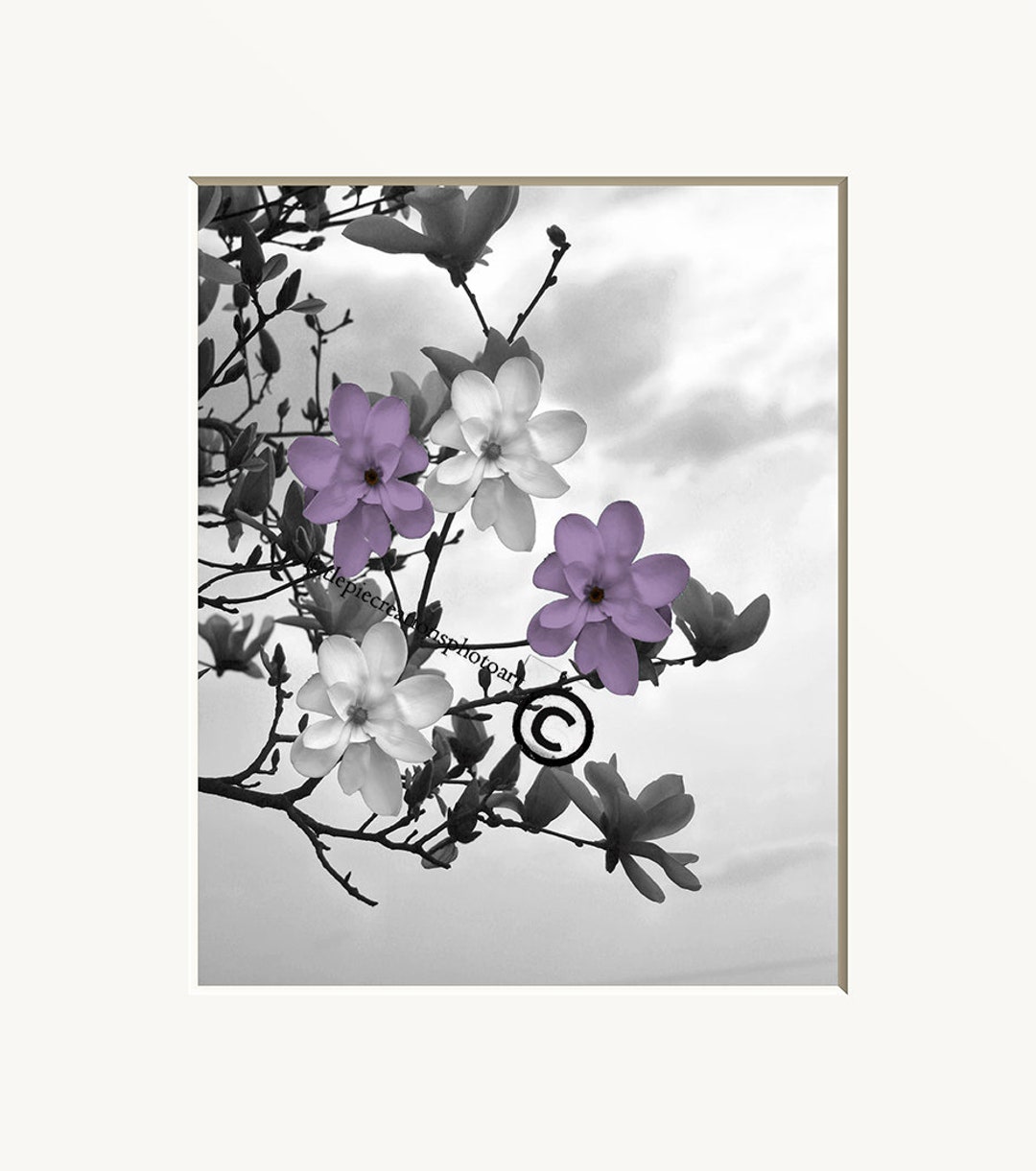 Purple Gray Wall Art Pictures, Photography Bedroom Bathroom Purple Home