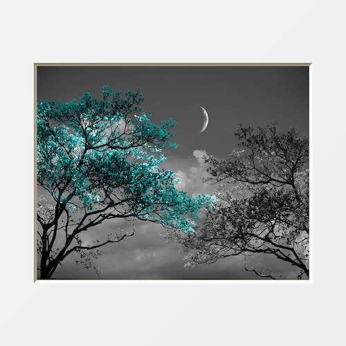 Black White Teal Wall Decor Teal Flower Decor Teal Gray Home Etsy