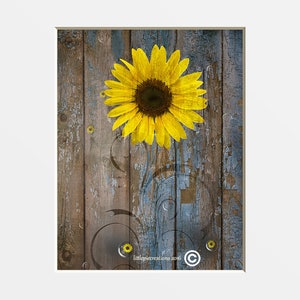 yellow sunflower cheerful home decor wall art 5x7 Original Hand painted watercolor