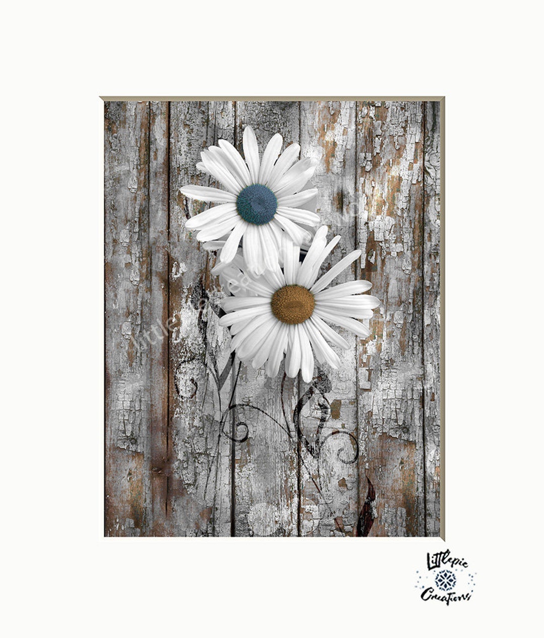 Teal Blue Rustic Wall Art, Daisy Flowers, Teal Home Decor Matted