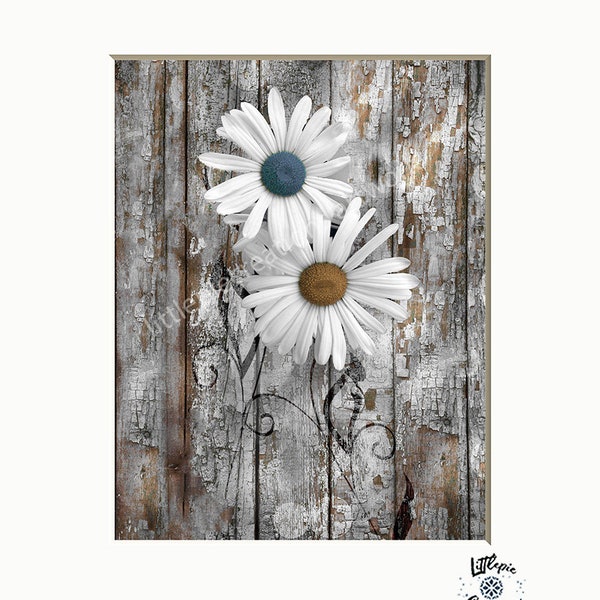 Teal Blue Rustic Wall Art, Daisy Flowers, Teal Home Decor Matted Photography Pictures (Options)