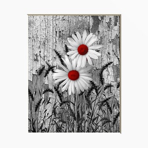 Black White Red Decor, Tree Moon Wall Art, Red Moon, Pop Of Red, Red Bed Room Wall Art Matted Picture Red Rustic Daisies