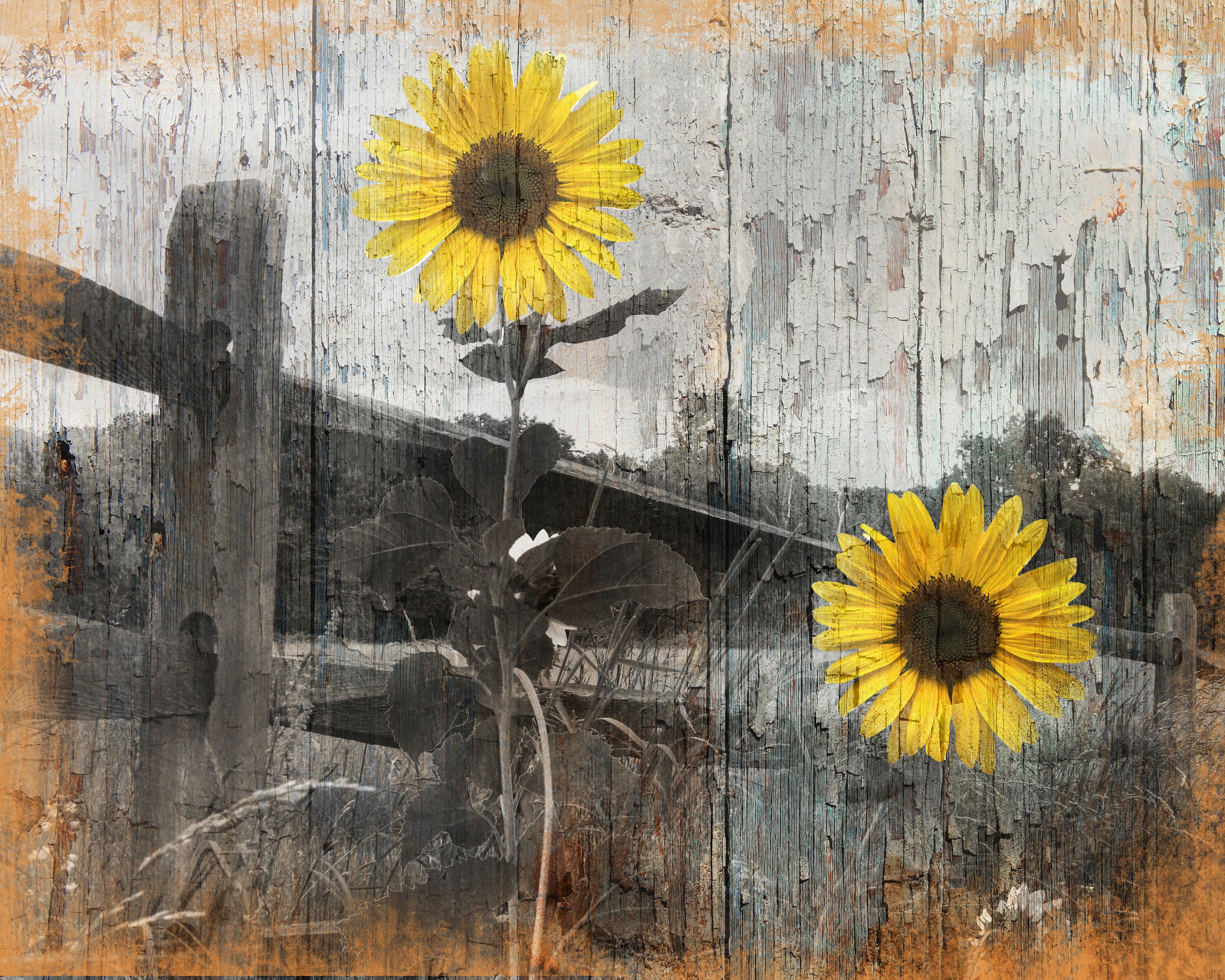 Rustic Country Farmhouse Sunflower Theme Wall Art Home Decor Etsy