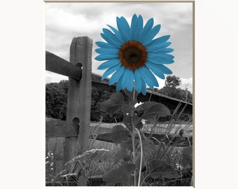 Blue Gray Wall Decor Pictures, Sunflower Wall Art, Pop of Blue, Bathroom Bedroom Matted Wall Art Pictures