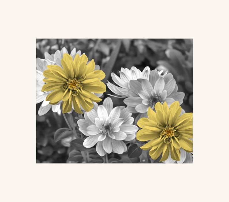 Black White Yellow Wall Decor Yellow Flowers Pop of Color Etsy