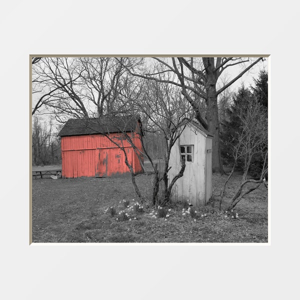 Coral Bathroom Wall Art, Barn Outhouse, Photography Matted Coral Wall Decor Picture