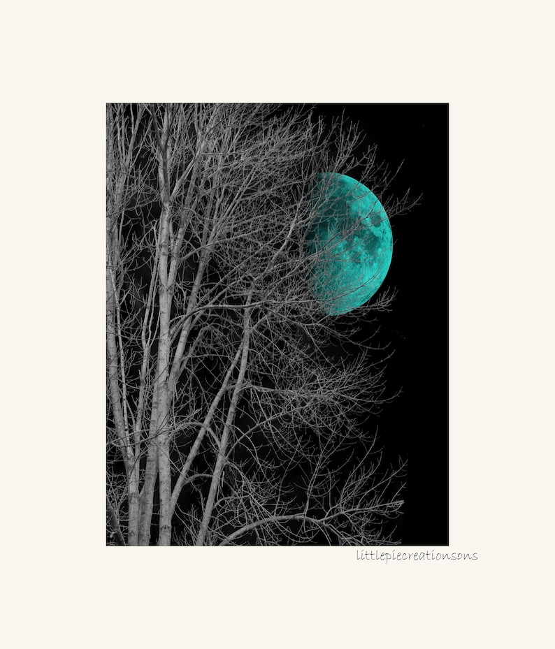 Teal Blue Rustic Wall Art Daisy Flowers Teal Home Decor Etsy