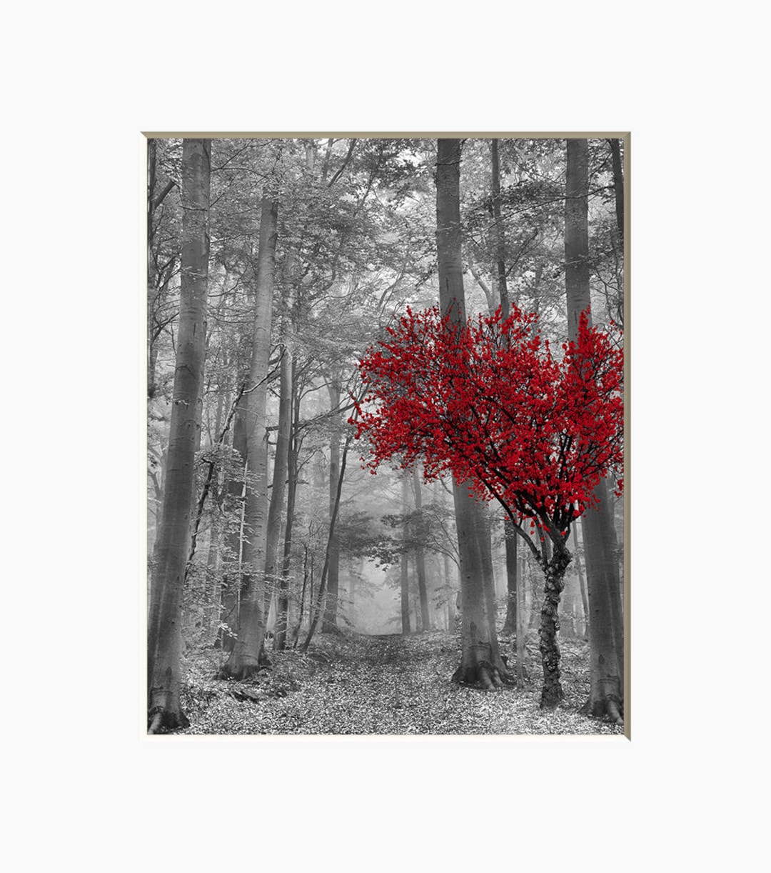 Black White Red Tree Wall Decor Pop of Red Forest Path Etsy