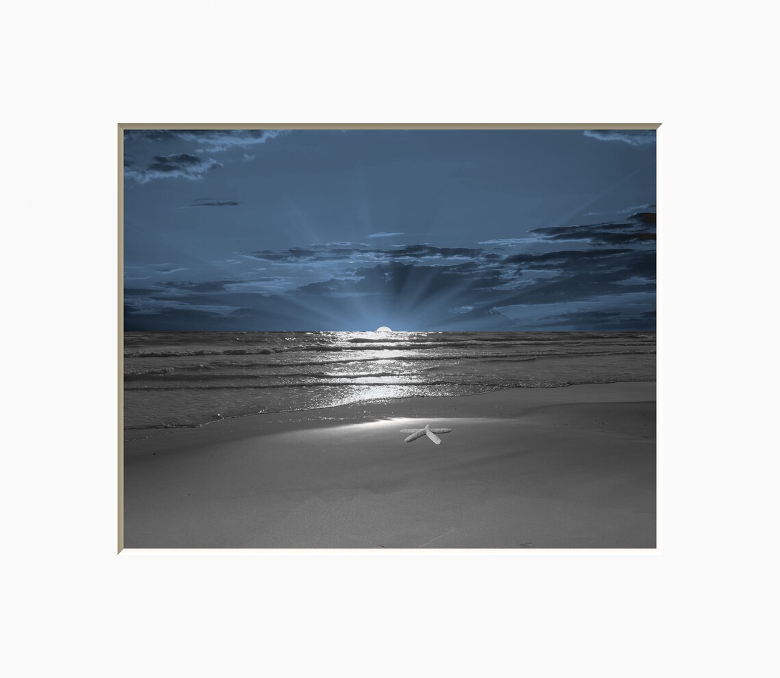 Black White Blue Modern Wall Art Beach Starfish Wall Art Etsy