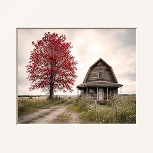 May include: A framed photographic print featuring a weathered wooden house with a gambrel roof situated next to a vibrant red tree. A dirt path leads toward the structure, surrounded by a field of tall grasses under a cloudy, overcast sky.