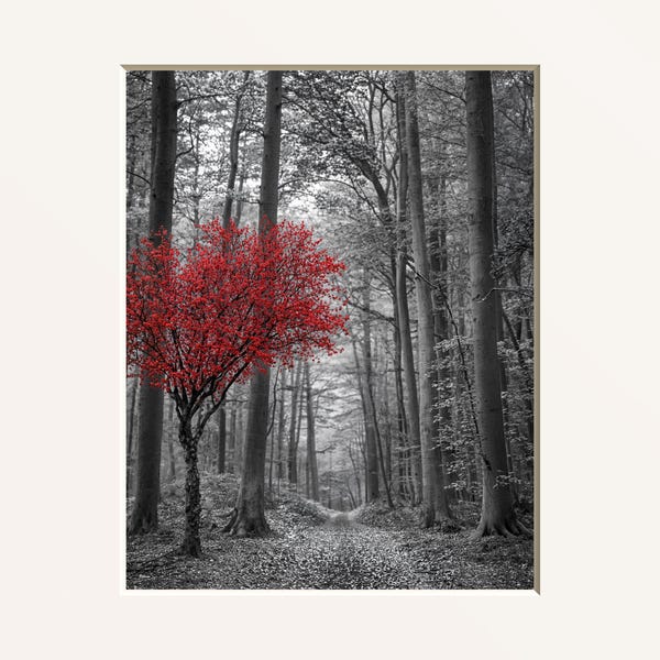 Red Wall Art, Tree Forest Path Bathroom or Bedroom Matted Print